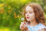 Fototapeta Dmuchawce - curly little girl blowing white dandelion.