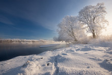 Real Russian Winter. Morning Frosty Winter Landscape With Dazzling White Snow,  Hoarfrost River Bank With Traces And Blue Sky. Foggy River Bank With Frost-Covered Trees And Crispy Reeds In The Frost