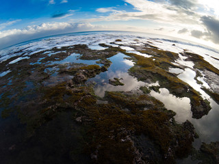 Wall Mural - Tide area looks like a Earth, Rock fragments like a continent.