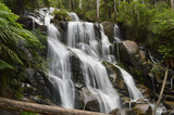 Fototapeta Natura - waterfall