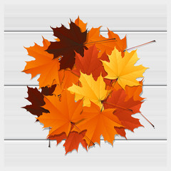 hello autumn background with colorful leaves on wooden board , vector , illustration