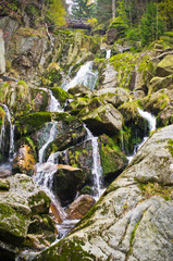 Poster - Stream in Jizera mountains, Czech Republic