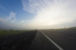 © maxim4e4ek - Pictures of fog in the woods on a country road