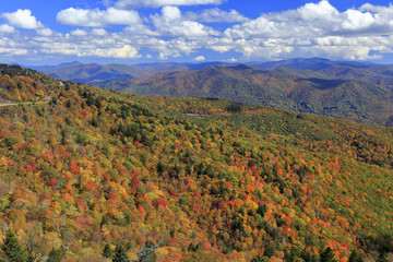 Wall Mural - View of autumn colors adjacent to the Blue Ridge Parkway near Waterrock Knob in North Carolina