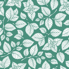 Hand drawn vector seamless pattern with mint leaves