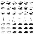 Set of human eyes, noses and lips
