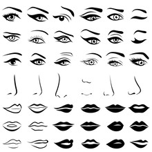 Set Of Human Eyes, Noses And Lips