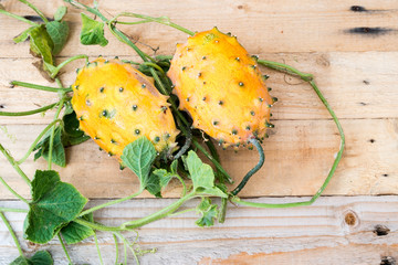 vine with two fresh ripe kiwano, Cucumis metuliferus, on wooden background