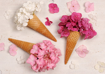  ice cream cones with hydrangea flowers