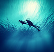 Dives swim under wate