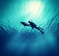 Wall Mural - Dives swim under wate