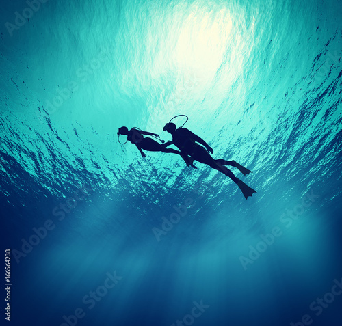 Dekoracja na wymiar  nurkowania-plywaja-pod-woda