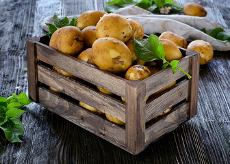 Wall Mural - Raw potatoes