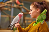 parrot sitting on a girls hand and kissing her .