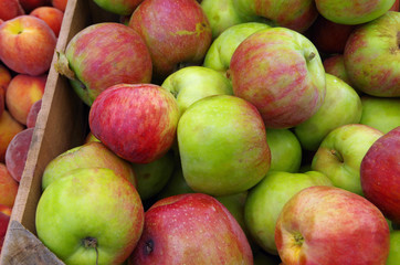 Wall Mural - Farm fresh colorful apples displayed in wooden crate