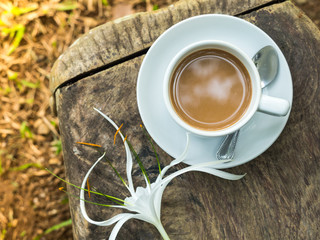 Hot organic coffee in garden