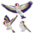 Goldfinch on white background / There are one sitting goldfinch and two flying goldfinches in cartoon style
