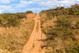 Fototapeta Sawanna - Dirt Road Track Wilderness Landscape