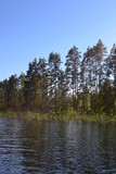 Fototapeta Konie - lake in Sweden