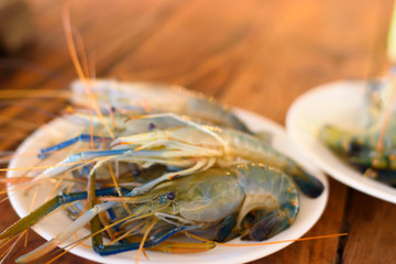 giant river prawn is ready to grill ( Macrobrachium rosenbergii )