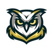 Owl Vector Logo Illustration