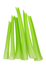 Sticker - Celery