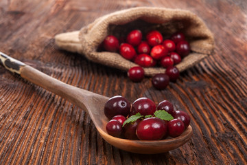 Canvas Print - Ripe fresh cranberries