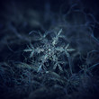 Real snowflake macro photo: large stellar dendrite snow crystal with fine symmetry, big central hexagon and long, elegant arms with side branches. Snowflake glowing on dark blue textured background.