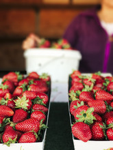 Fresh Strawberries In Containers For Sale At Market