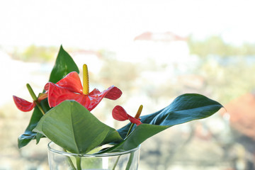 Poster - Glass vase with beautiful tropical flowers against window