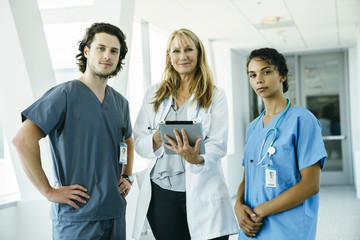 Wall Mural - Group of medical professionals, doctor, nurses, in hospital 