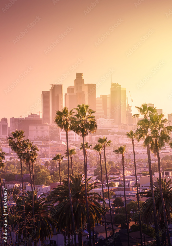 Beautiful sunset of Los Angeles downtown skyline and palm trees in foreground - obrazy, fototapety, plakaty 
