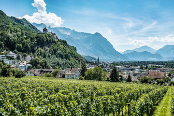 Wall Mural - Vaduz town, the capital of Liechtenstein, Europe