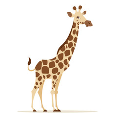 Canvas Print - Vector cartoon style illustration of giraffe 