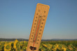Mercury wooden thermometer shows very high temperature. Temperatures in Celsius and Fahrenheit degrees. Hot summer weather. Forty degrees over zero during the day.
