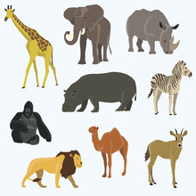Vector Illustration Of Cute Animal Set Including Monkey, Giraffe, Elephant, Zebra, Tiger, Hippopotamus, Antelope, Deer, Lion
