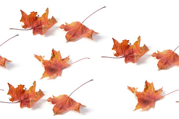 Wall Mural -  seamless   pattern maple leaf yellow red autumn