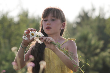 Wall Mural - Little girl collects flowers on field - russian summer village