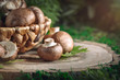 Brown mushrooms in a basket on a tree stump.