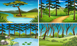 Fototapeta Las - Four scenes of forest and river