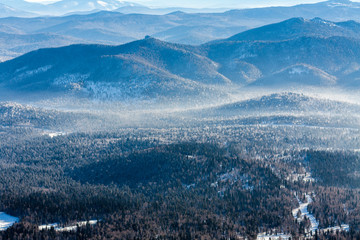  Winter forest in Mountains