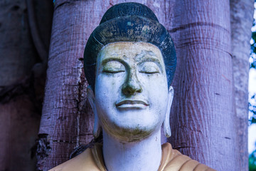 Canvas Print - Buddha staue in Darabhirom Forest Monastery