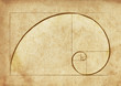 The Golden Spiral / Ancient Script
Fibonacci Spiral