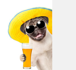 Poster - Dog in summer hat and sunglasses with light beer peeking above white banner. isolated on white background