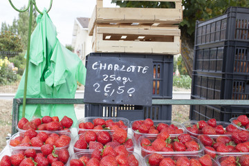 France. Vide grenier