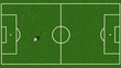 soccer field / football field top view with green natural grass - soccer background