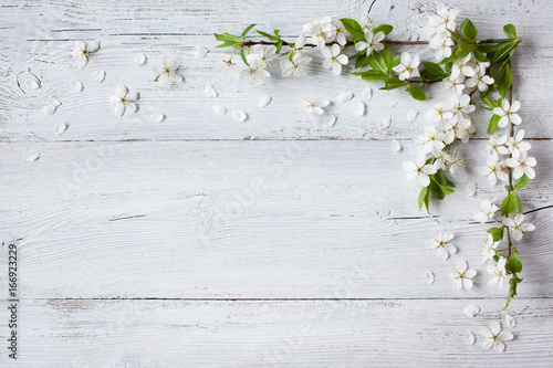 Fotografía Background with flowering spring branches of plums, cherries