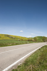 Canvas Print - Asphalt road between meadow in Italy