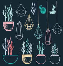 Succulents And Cacti In Pots And Geometric Terrariums Chalk Drawing Vector Set