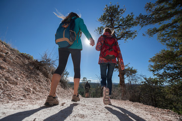 Wall Mural - Group of hikers on the walkway at sunny day